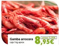 Gamba Arrocera