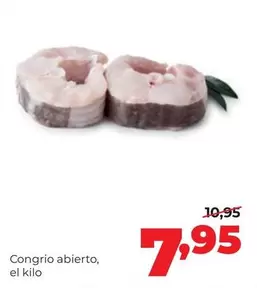 Congrio Abierto