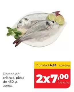 Dorada De Crianza