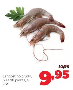 Langostino Crudo