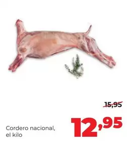 Cordero Nacional