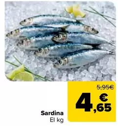 Sardina