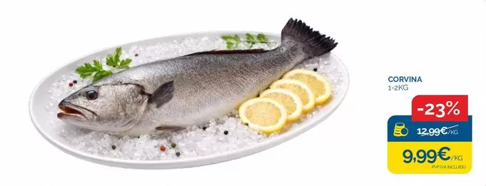 Corvina