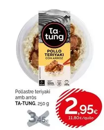 Ta Tung - Pollo Teriyaki Con Arroz