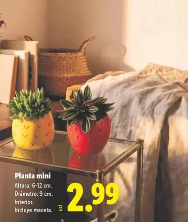 Planta Mini