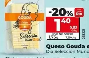 Dia Seleccion Mundial - Queso Gouda En Lonchas
