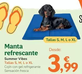 Summer Vibes - Manta Refrescante 