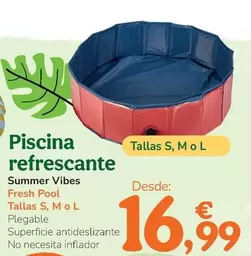 Summer Vibes - Piscina Refrescante