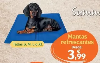Mantas Refrescantes
