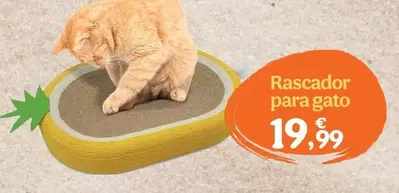 Rascador Para Gato