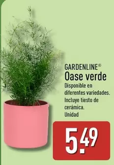 Gardenline - Oase Verde