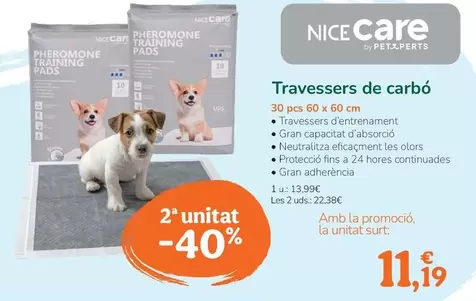 Nice Care - Empapadores De Carbón
