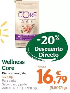 Wellness Core - Pienso Para Gato
