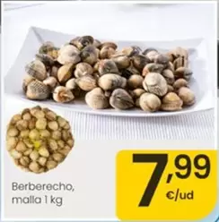 Berberecho