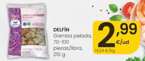 Delfín - Gamba Pelada