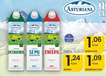 La Asturiana - Leche Desnatada