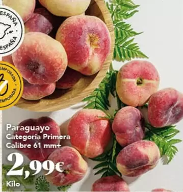 Paraguayo Categoria Primera Calibre 61 Mm+