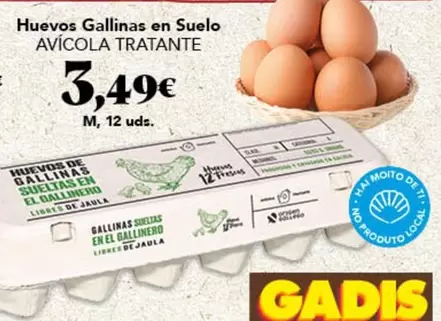 Huevos Gallinas En Suelo