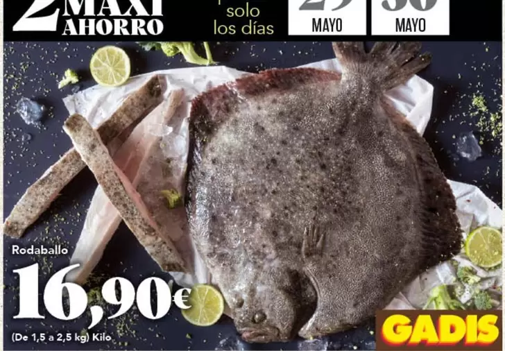 Solo - Rodaballo
