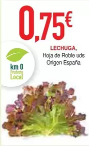 origen - Hoja De Roble Uds Origen España