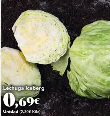 Lechuga Iceberg