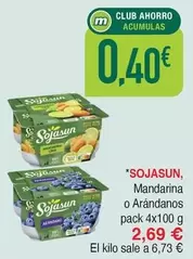 Sojasun - Mandarina O Arandanos
