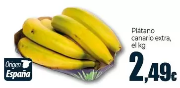 Platano Canario Extra