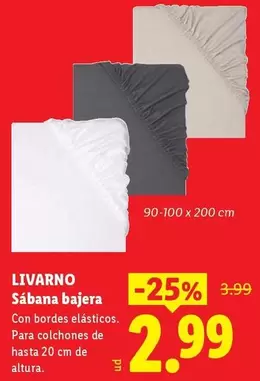 Livarno - Sabana Bajera
