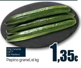 Pepino Granel