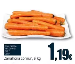 Zanahoria Comun