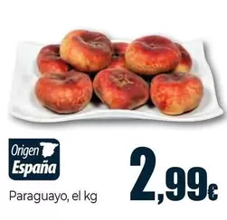 Paraguayo