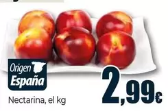 Nectarina