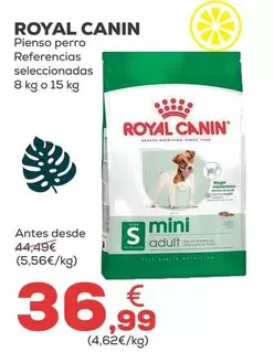Royal Canin - Pienso Perro