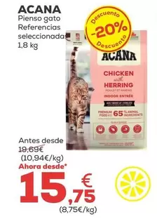Acana - Pienso Gato Referencias Seleccionadas