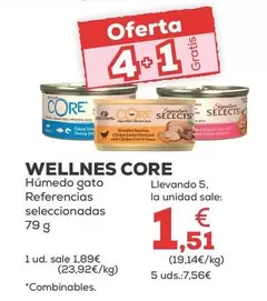 Wellness Core - Humedo Gato