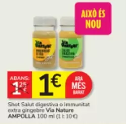 Ara - Shot Digestiva O Immunitat Extra Gingebre Via Nature