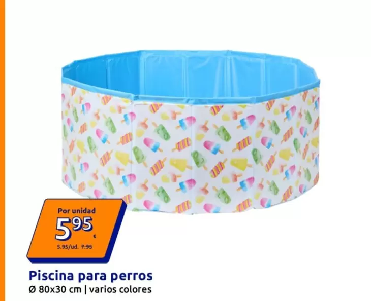 Piscina Para Perros