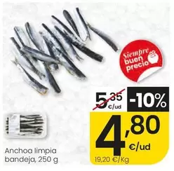 Anchoa Limpia Bandeja