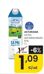 Central Lechera Asturiana - Leche Semidesnatada Brik