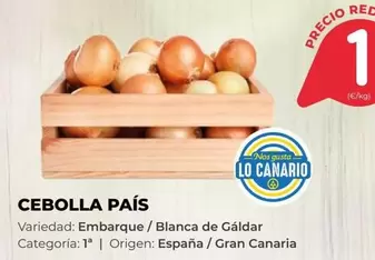 origen - Cebolla Pais