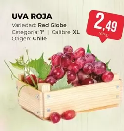 origen - Uva Roja