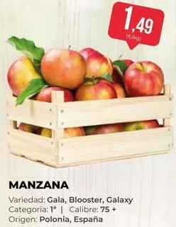 Gala - Manzana