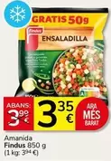 Findus - Amanida