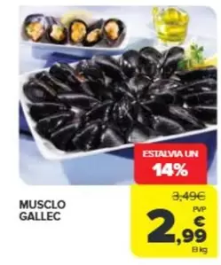 Musclo Gallec