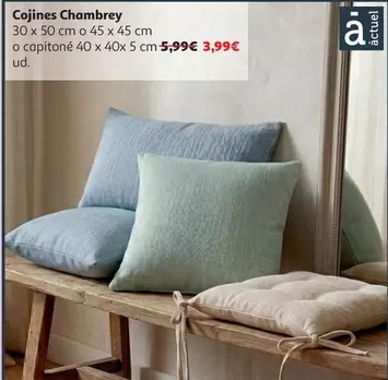 Cojin Chambrey 30x50 Actuel Sin Cremallera