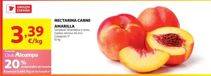 Nectarina Carne Amarilla