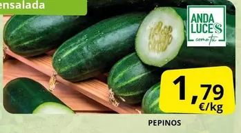 Anda - Pepinos