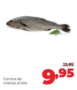 Alimerka - Corvina De Crianza