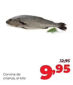 Alimerka - Corvina De Crianza