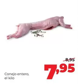 Conejo Entero
